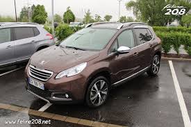 Image result for Brun Guaranja 2014 Peugeot