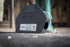 Addressing Pest Control Issues In Sydney City Of Sydney