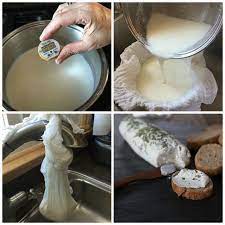 How To Make Goat Cheese Recipe Chevre Analida S Ethnic Spoon