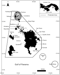 2q 2020 results and strategy presentation. Frontiers Impacts Of Whale Watching On The Behavior Of Humpback Whales Megaptera Novaeangliae In The Coast Of Panama Marine Science
