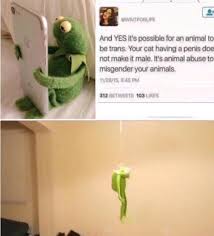 Ejszaka Robbanoanyagok Csendes Kermit The Frog Hanging Himself Meme Tijarainternational Com