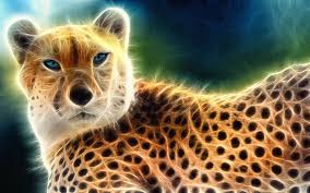 Lightanimals Pics Photos Cool Animal Wallpaper Light Animals Animal Wallpaper Wallpaper