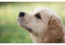 Little baby boy names list of 2020 List Of Bollywood Actors Names Starting With S Actor Names Finder