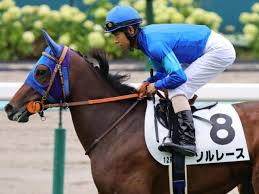 新潟雷光特別：ソルレース、堅実派が待望の3勝目なるか！？ - Imagen principal del artículo