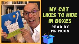 My Cat Likes to Hide in Boxes. Stories for children at home.