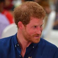 Prince Harry Dines With Muslim Youths in Singapore