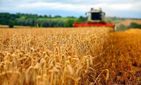 54/1990 privind organizarea si desfasurarea unor activitati economice pe baza liberei initiative, decretul nr. Proceduri Mai Simple Pentru Transformarea SocietÄƒÈ›ilor Agricole In SocietÄƒÈ›i Reglementate De Legea Nr 31 1990 Ceccar Business Magazine