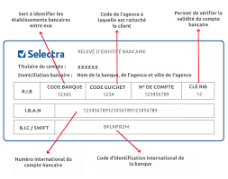 Tout Savoir Sur Le Rib Definition Et Utilisation