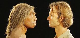Durch die liebe von elisabeth hat sich walter verändert. Entscheidende Veranderungen Der Weitere Weg Der Menschheit Hintergrund Von Lucy Bis Zum Homo Sapiens Hintergrund Inhalt Experiment Verwandtschaft Wissenspool
