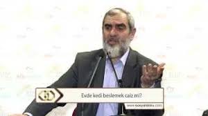 Evde Kedi Beslemek Caiz Mi Nureddin Yildiz