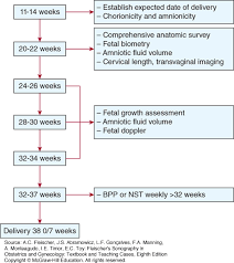 Sonography In Multiple Gestation Fleischers Sonography In