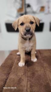 Hill Country Scanner