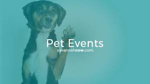 Are you someone who loves german shepherd dogs? Pet Events For Jan 17 2020 Entertainment Life Savannah Morning News Savannah Ga