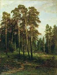 Reproduções De Pinturas Floresta de pinho (12) por Ivan Ivanovich Shishkin  (1832-1898, Russia) | ArtsDot.com
