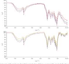 Image result for Maerua aethiopica