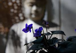 9 Stories That Offer Insight Into the Challenges and Joys of Being a Mother 