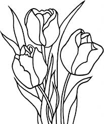 Printable tulip flower coloring page. Tulip Coloring Pages Printable