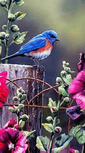 Blue Birds And Flowers Wallpaper Pin By Marianne Ray On Colourful Birds Spring Wallpaper Bird Illustration Android Wallpaper