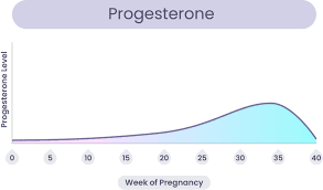 Image result for Pregnane Progestin