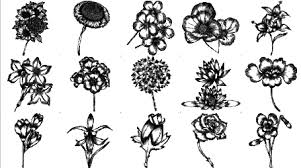 We did not find results for: Free Vector Hand Drawn Flowers Pack Clip Art