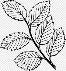 Palm tree leaf coloring page. Palm Tree Leaf Palm Tree Silhouette Palm Leaves Palm Tree Clip Art Palm Tree Vector Sunday 664053 Free Icon Library
