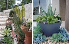 Pin On Terraza