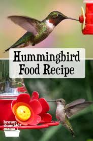 You can make your own hummingbird food with items you have in your home right now. Hummingbird Food Recipe Hummingbird Food Hummingbird Nectar Recipe Hummingbird Nectar