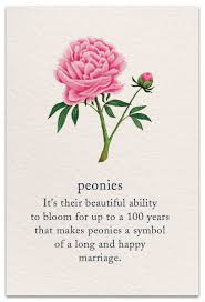Peonies Wedding Card Cardthartic Com In 2020 Flower Quotes Flower Meanings Meaning Of Life