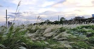 Pin On Photographic And Picturesque