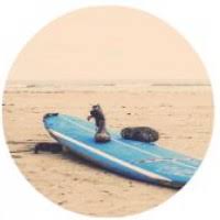 Paddle boarding is the best crossing training you can do to improve your surfing. How Many Calories Do You Burn With Surfing Online Calculator