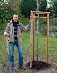 Wer einen baum fällen will, kann dem gehölz nicht einfach mit einer axt zu „leibe gehen. Baum Pflanzen So Machen Es Die Profis Mein Schoner Garten