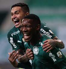 Palmeiras is playing next match on 31 jul 2021 against são paulo in brasileiro serie a. Rqraupdctv V5m