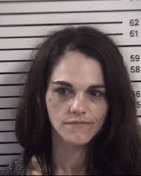 Iredell County Crime Watch (felonies, DWIs): Nov. 28
