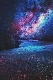 5,905 likes · 431 talking about this. Celular Noche Estrellada Fondo De Pantalla Novocom Top