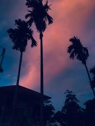 Karakter animasi secara simpel dapat diartikan sebagai gambar yang. Pin Oleh Citrarch Di Langit Fotografi Alam Ilustrasi Alam Pemandangan