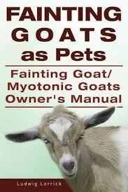 Goats for sale in india. Fainting Goats As Pets Fainting Goat Or Myotonic Goats Owners Manual Ludwig Lorrick Book In Stock Buy Now At Mighty Ape Nz