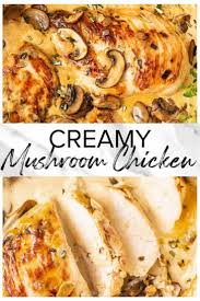 Creamy Mushroom Chicken Easy Chicken Recipes Recipe Easy Chicken Recipes Chicken Casserole Dinners Creamy Chicken Dish