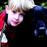 You can see how to get to deceased pet care funeral homes and crematories on our website. Deceased Pet Care Funeral Homes Crematories And Cemeteries Deceasedpetcare Profile Pinterest