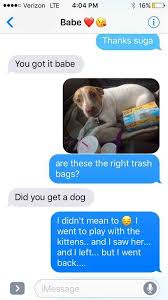 How To Properly Tell Your Boyfriend That You Adopted Another Dog Imgur Funny Text Messages Funny Texts Funny Animals With Captions