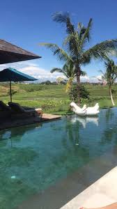 Michael S Lover Obi Swan Kenobi Outdoor Decor Pool Bali