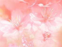 Download high quality flower pictures for your mobile, desktop or website. Flower Art Pistil Pink Screensaver On We Heart It Visual Bookmark 7864149 Flower Art Beautiful Backgrounds Floral Background