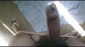 Indian punjabi man fucking Pathankot - XNXX.COM