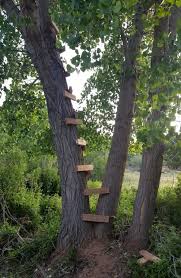 Maybe you would like to learn more about one of these? How Is Building An Event Ticketing Website On Top Of Wordpress Like Building A Treehouse Eventpresser