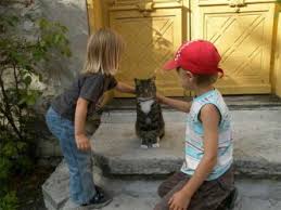 La Muerte Del Gato Como Afrontar El Momento Consumer