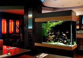 Freshwater Aquariums Saltwater Aquariums Ponds Water Features Freshwater Aquariums Fish Amazing Aquariums Aquarium Aquarium Design
