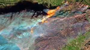 If people don't evacuate quickly, they risk being overtaken by the fire. California Wildfires Governor Brands Fires New Normal Bbc News