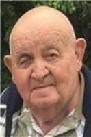 Lewis Snyder Obituary (1931