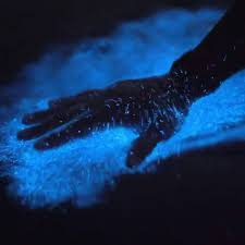 Bioluminescent Bay Puerto Rico Fajardo 8 Reasons To Kayak Bioluminescent Bay In Puerto Rico In 2020 Bioluminescent Bay Bioluminescent Bay Puerto Rico Kayak Trip