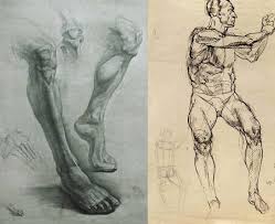 Check spelling or type a new query. Knee Anatomy Anatomy Course For Artists