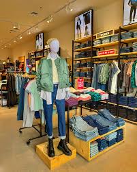 Image result for Sutera levis